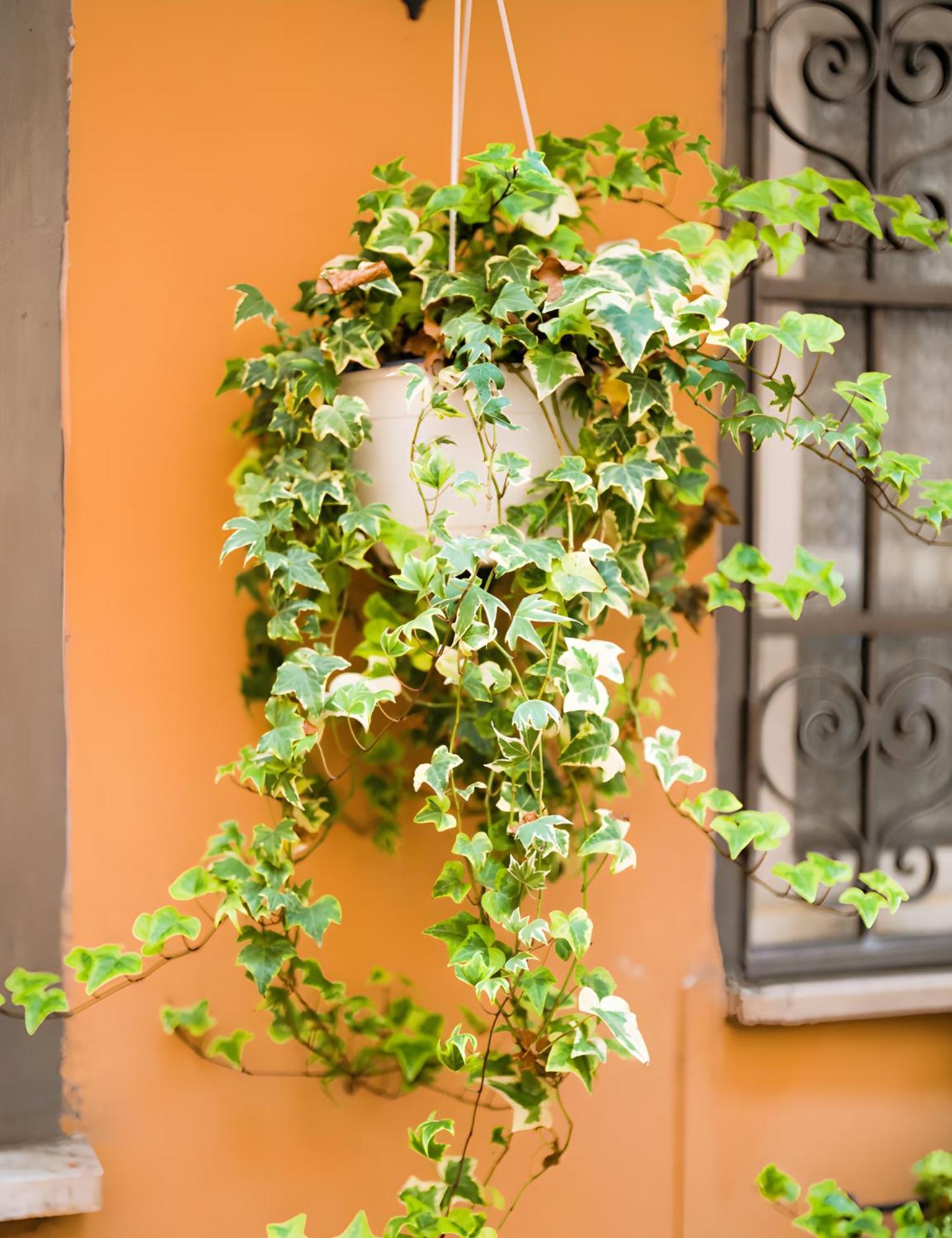 The Best Nest Rome Exterior photo